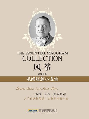 cover image of 风筝